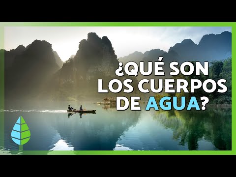 Cuerpos de agua. Qué son, tipos y ejemplos